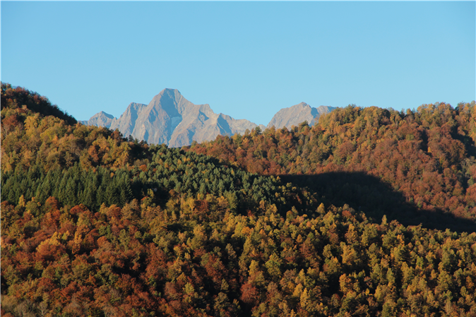 Couleurs d'Automne derriere la maison 