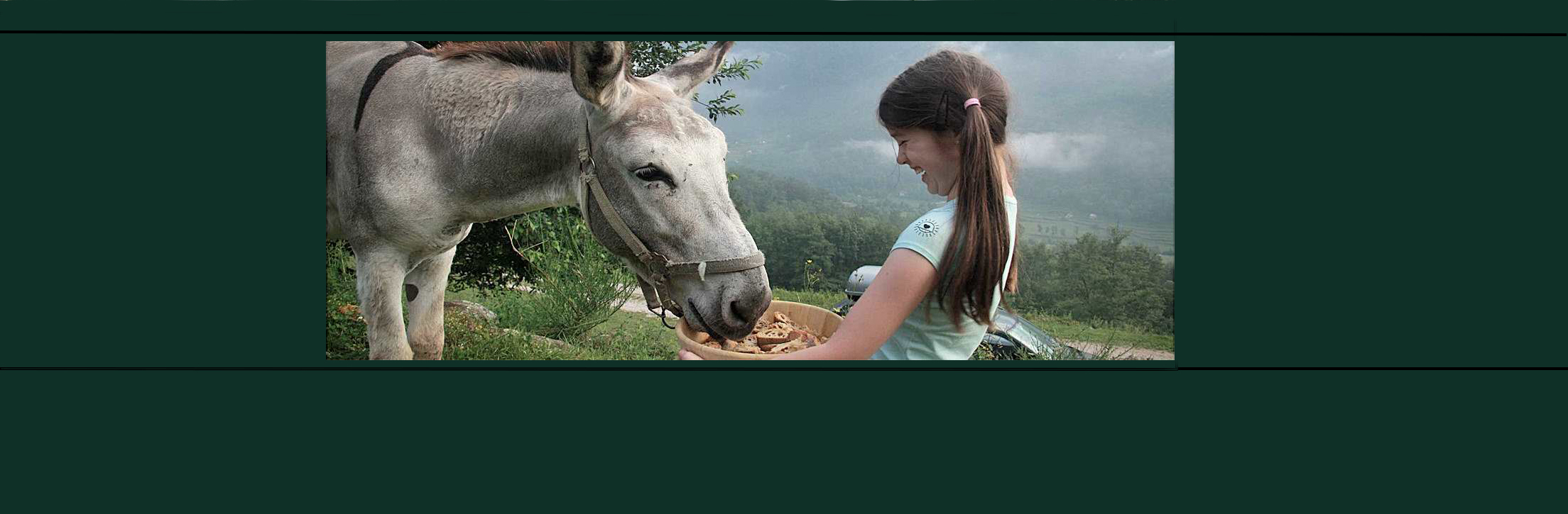 Donkey walks