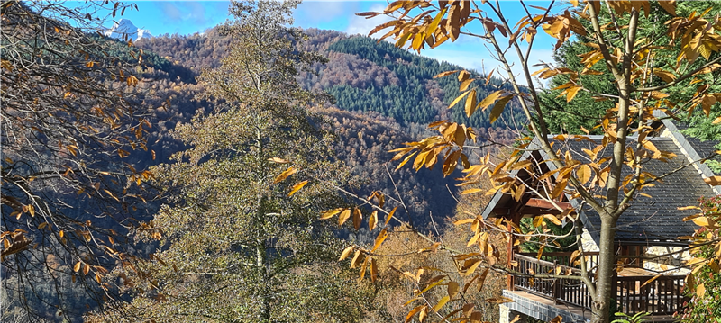 Fotos der Umgebung