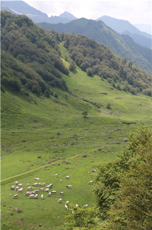 Fotos der Umgebung