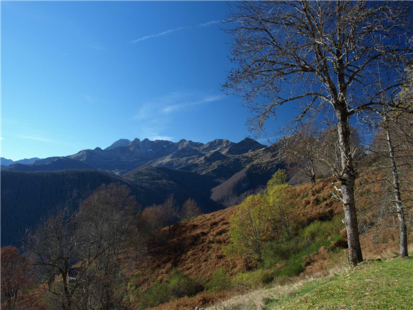 Fotos der Umgebung