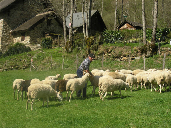 Fotos der Umgebung